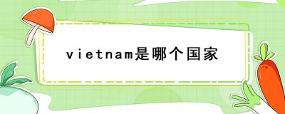 ​vietnam是哪个国家