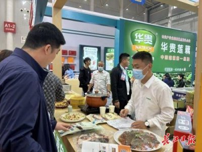 ​免杀远控多少钱一个月
