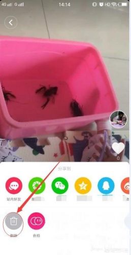 抖音怎么删除自己的作品视频？电脑抖音怎么删除自己的作品-第2张图片-
