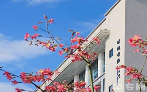 惠州职业学院有哪些？惠州职业学院代码-第1张图片-