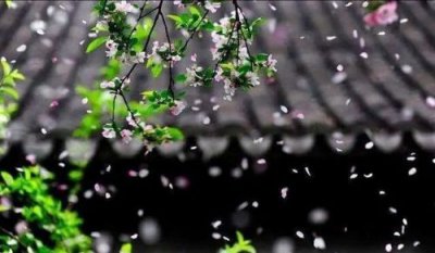 ​惜春长怕花开早何况落红无数？惜春长怕花开早,何况落红无数的意思