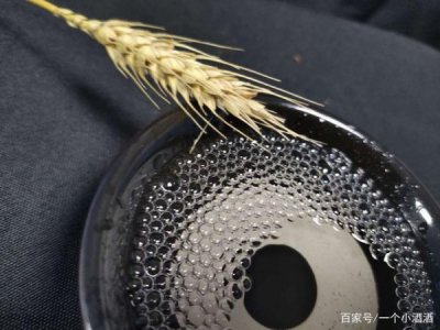 ​怎样酿白酒不会上头？怎样酿白酒喝后不上头