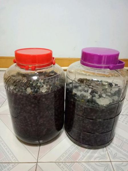 自制葡萄酒是否要加酒