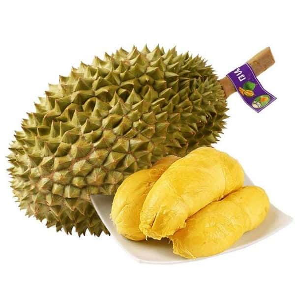 托曼尼和甲仑的区别（托曼尼和甲仑哪个好）