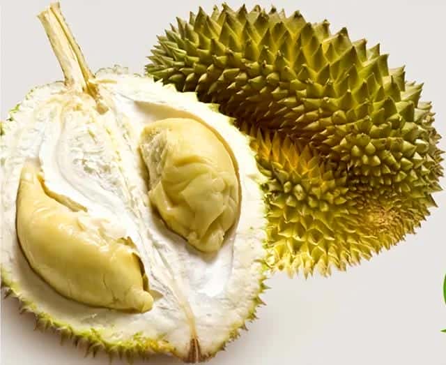 托曼尼和甲仑的区别（托曼尼和甲仑哪个好）