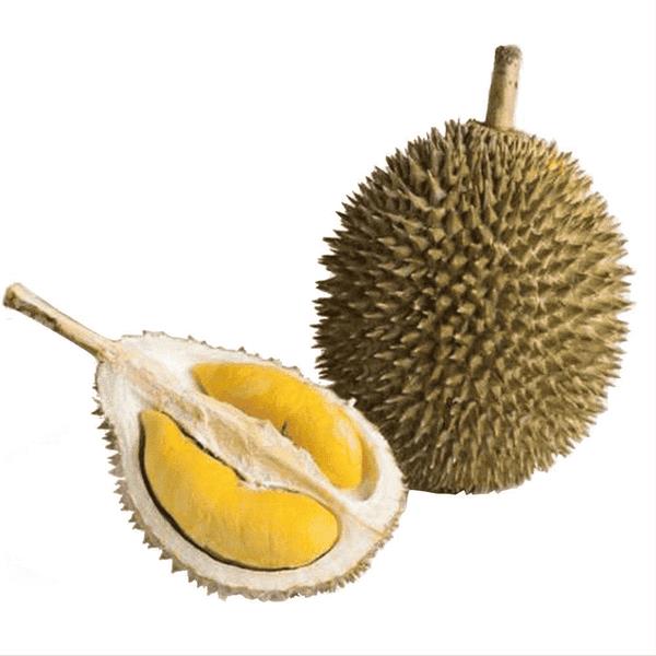 托曼尼和甲仑的区别（托曼尼和甲仑哪个好）