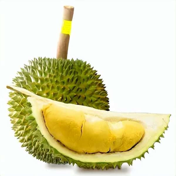 托曼尼和甲仑的区别（托曼尼和甲仑哪个好）
