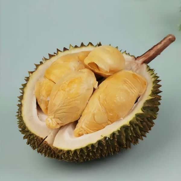 托曼尼和甲仑的区别（托曼尼和甲仑哪个好）