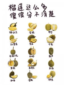 ​托曼尼和甲仑的区别（托曼尼和甲仑哪个好）