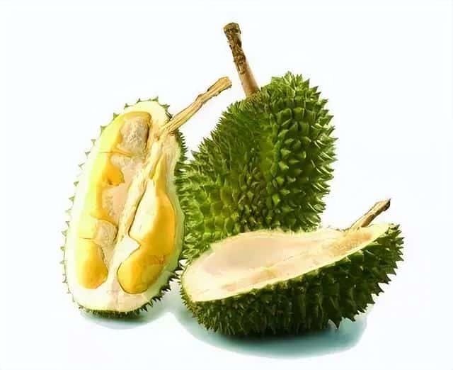 托曼尼和甲仑的区别（托曼尼和甲仑哪个好）