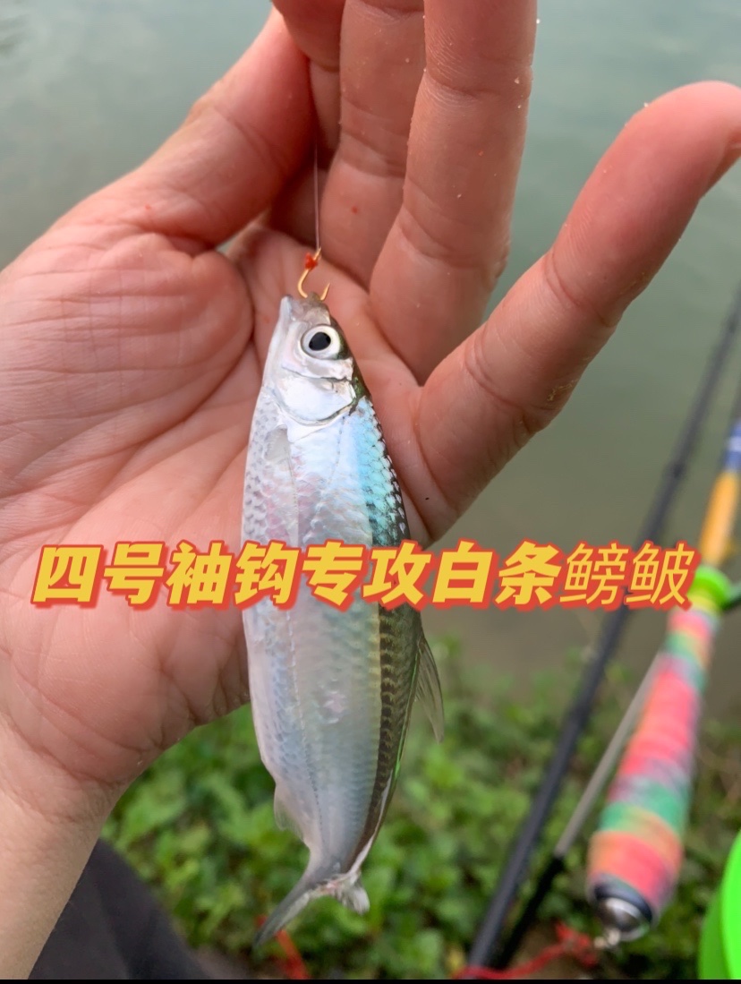 野钓用什么鱼钩大小通杀（野钓用什么钩子比较好）