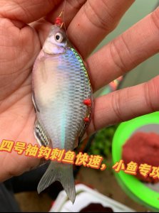 ​野钓用什么鱼钩大小通杀（野钓用什么钩子比较好）