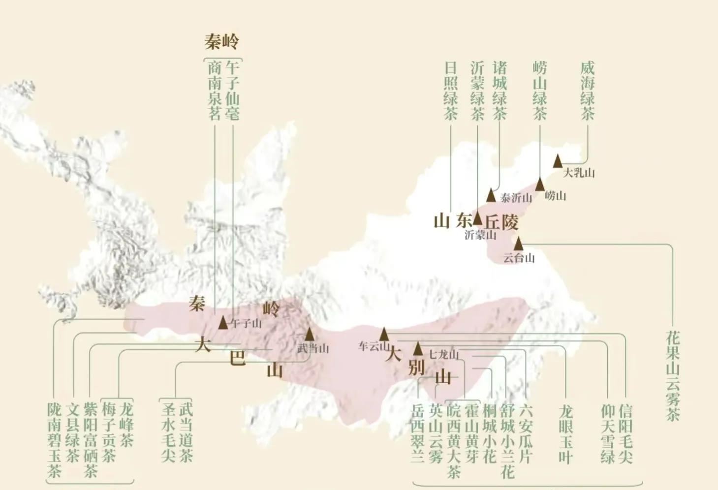 毛尖是什么档次(龙井和毛尖哪个档次高)