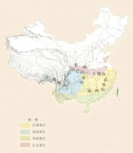 ​毛尖是什么档次(龙井和毛尖哪个档次高)