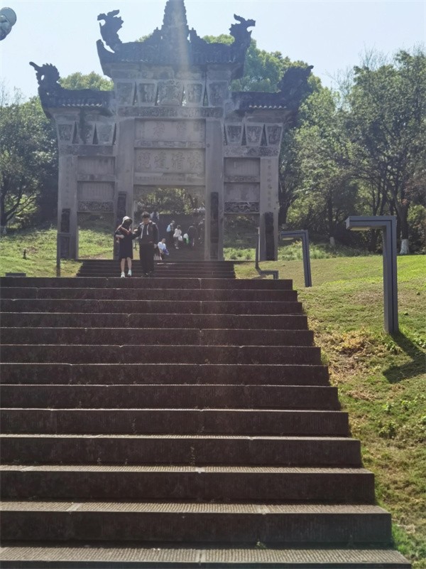 照母山森林公园门票多少钱(照母山森林公园游玩路线)