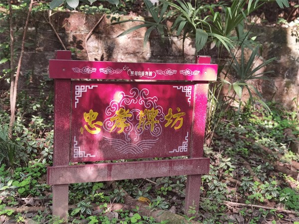 照母山森林公园门票多少钱(照母山森林公园游玩路线)