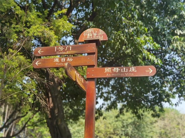照母山森林公园门票多少钱(照母山森林公园游玩路线)