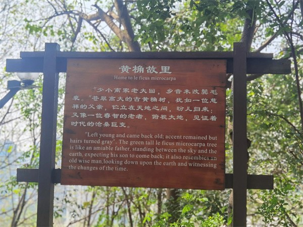 照母山森林公园门票多少钱(照母山森林公园游玩路线)