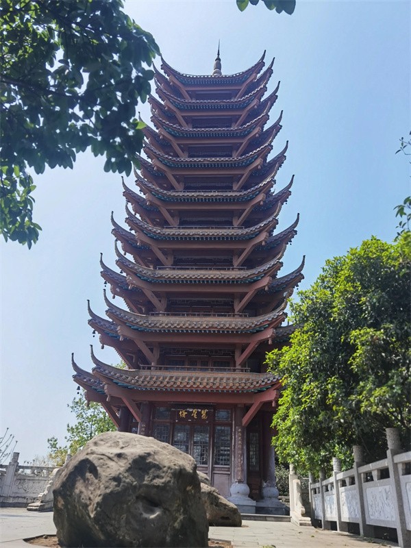 照母山森林公园门票多少钱(照母山森林公园游玩路线)
