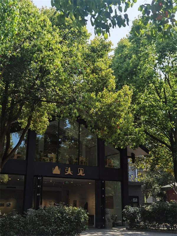 照母山森林公园门票多少钱(照母山森林公园游玩路线)