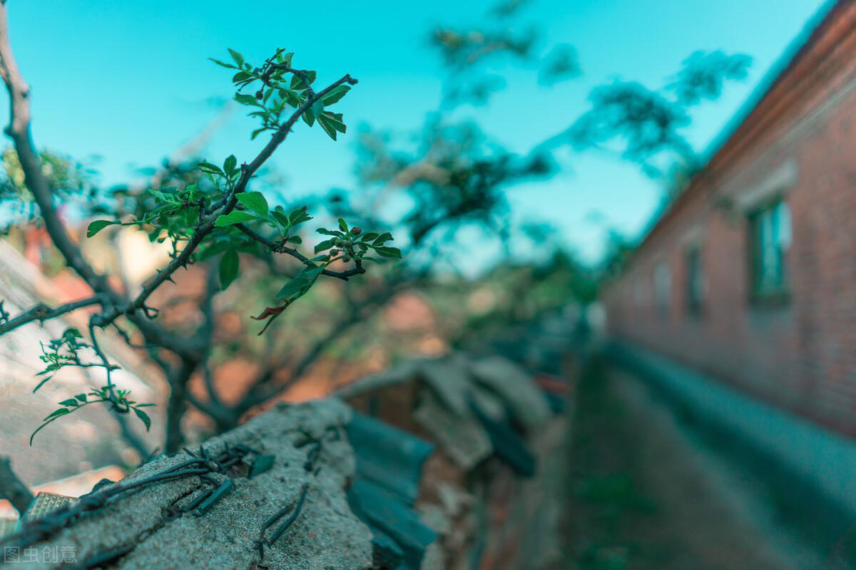 蒿里山为什么说是地府(蒿里山是地府入口吗)