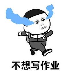 薇诺娜是哪个国家的(薇诺娜属于什么档次)