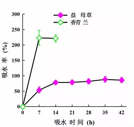 胚根发育成什么(胚芽发育成什么)