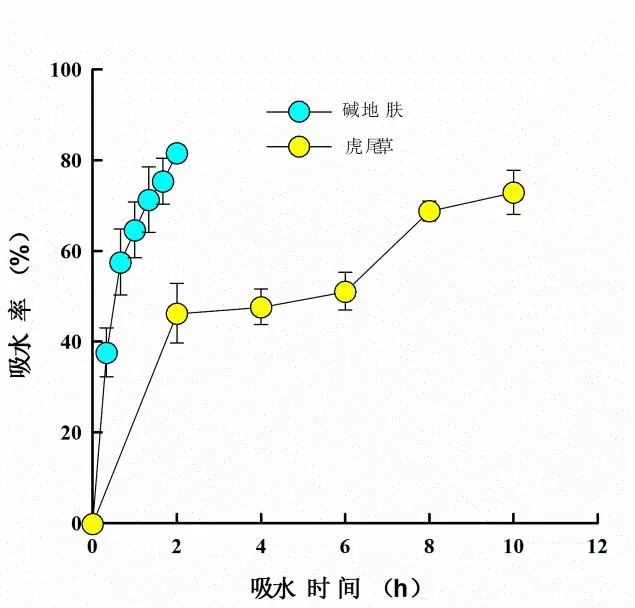 胚根发育成什么(胚芽发育成什么)