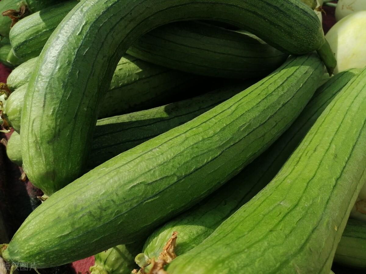 寒性蔬菜有哪些(哪些蔬菜是寒性蔬菜)