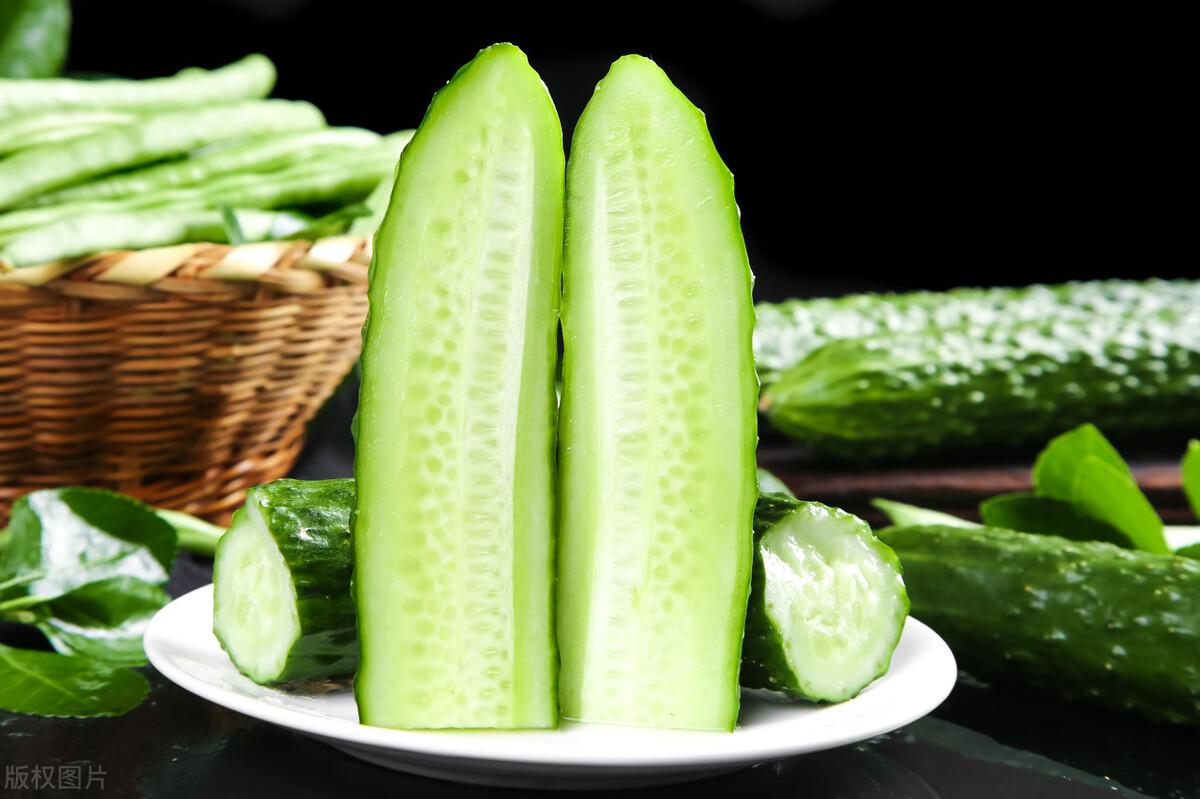 寒性蔬菜有哪些(哪些蔬菜是寒性蔬菜)