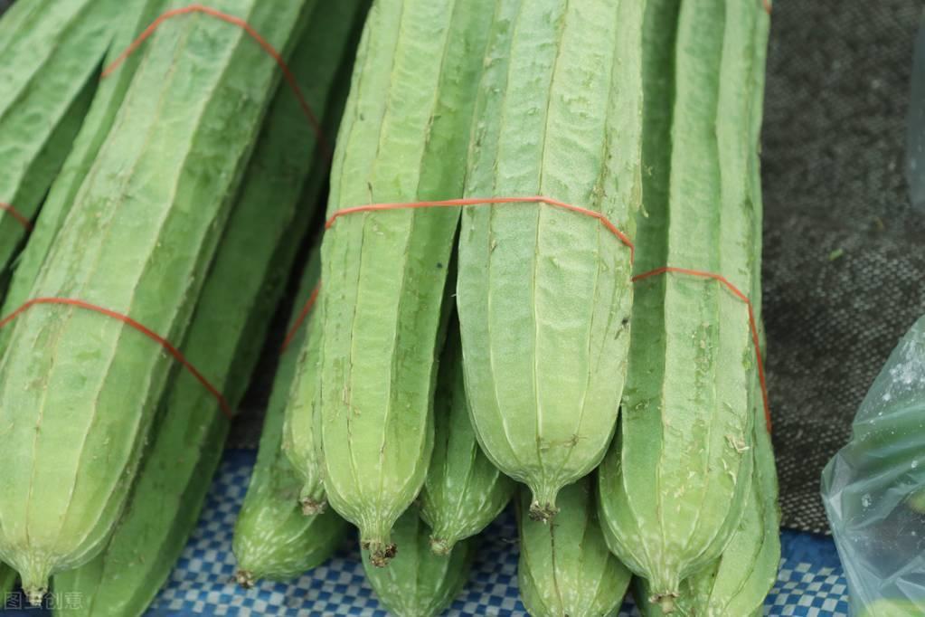 寒性蔬菜有哪些(哪些蔬菜是寒性蔬菜)