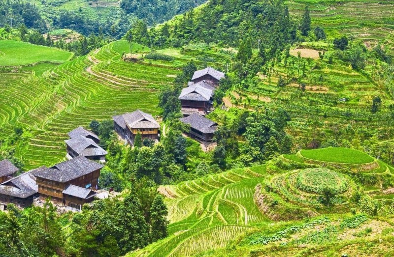 桂北是广西哪些地方(桂北有哪些城市)