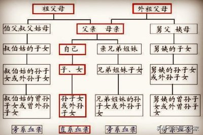 ​奶奶在古代怎么称呼(奶奶在古代怎么叫)