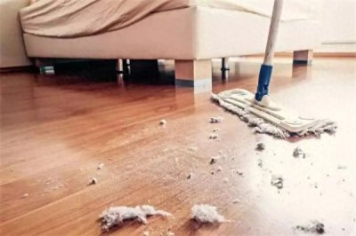 ​灰尘是怎么形成的(灰尘的主要来源是)