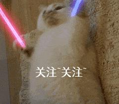 罗威纳和卡斯罗有什么区别（罗威纳和卡斯罗哪个好）