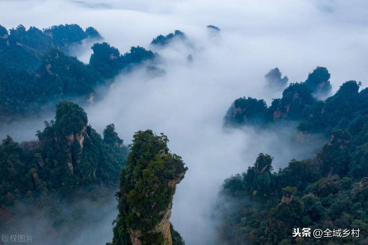 张家界是什么地貌(张家界地貌怎么形成的)