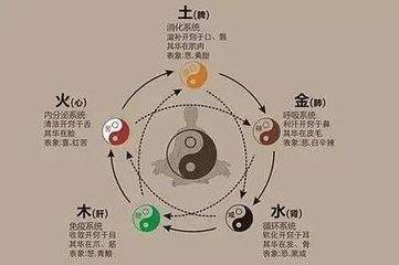 黄帝内经作者是谁写的(黄帝内经是哪个朝代写出来的)