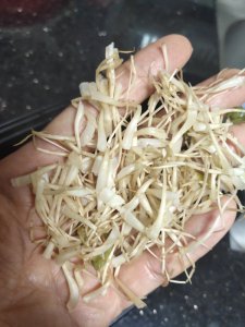 ​豆芽根可以吃吗(豆芽根该不该去掉)