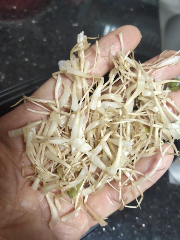 豆芽根可以吃吗(豆芽根该不该去掉)