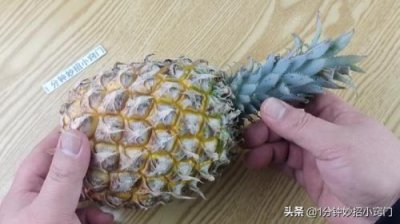 ​菠萝去皮机器(菠萝去皮机结构设计)