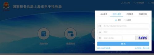 个人纳税证明怎么开(签证纳税证明怎么开)-第1张图片-