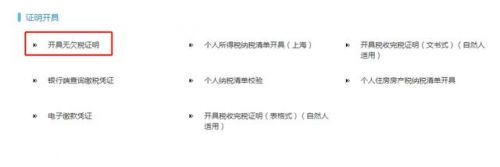 个人纳税证明怎么开(签证纳税证明怎么开)-第2张图片-