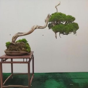 ​创业计划书封面上最重要的内容是(创业计划书封面怎么做word)