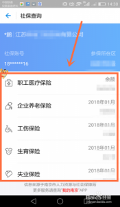 ​养老金查询个人账户查询(养老金查询个人账户缴费明细查询)