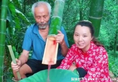 ​牛爱芳的小春花怎么了？ 因翻车被骂停更是真是假