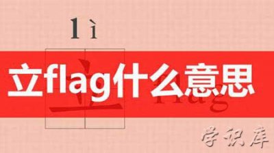 ​flag是什么意思中文