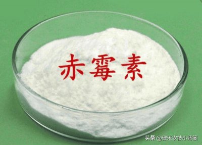​赤霉素对农作物有什么作用（赤霉素的作用和使用方法）