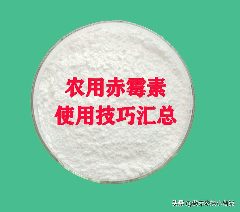 赤霉素对农作物有什么作用（赤霉素的作用和使用方法）
