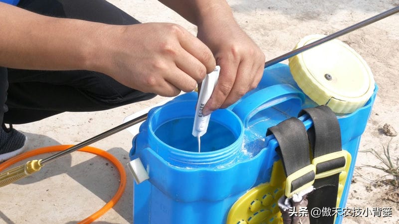 赤霉素对农作物有什么作用（赤霉素的作用和使用方法）