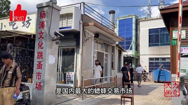 养殖什么风险低利润高（什么养殖业风险小利润大）
